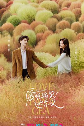 顺德seo优化报价